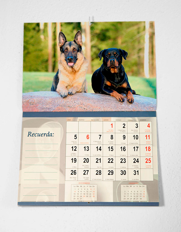 calendario columna plus
